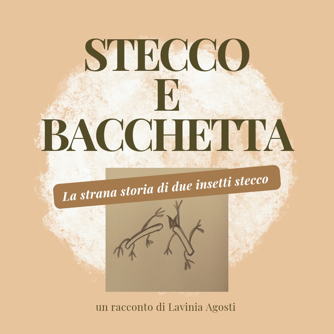 Solo la bellezza riesce a trasformare ogni luogo in una casa